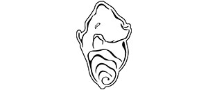 Maison NACRE