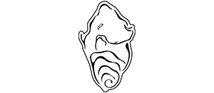 Maison NACRE